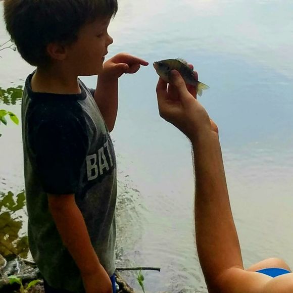 Meet your Posher, Brian - Picture 1 of 1